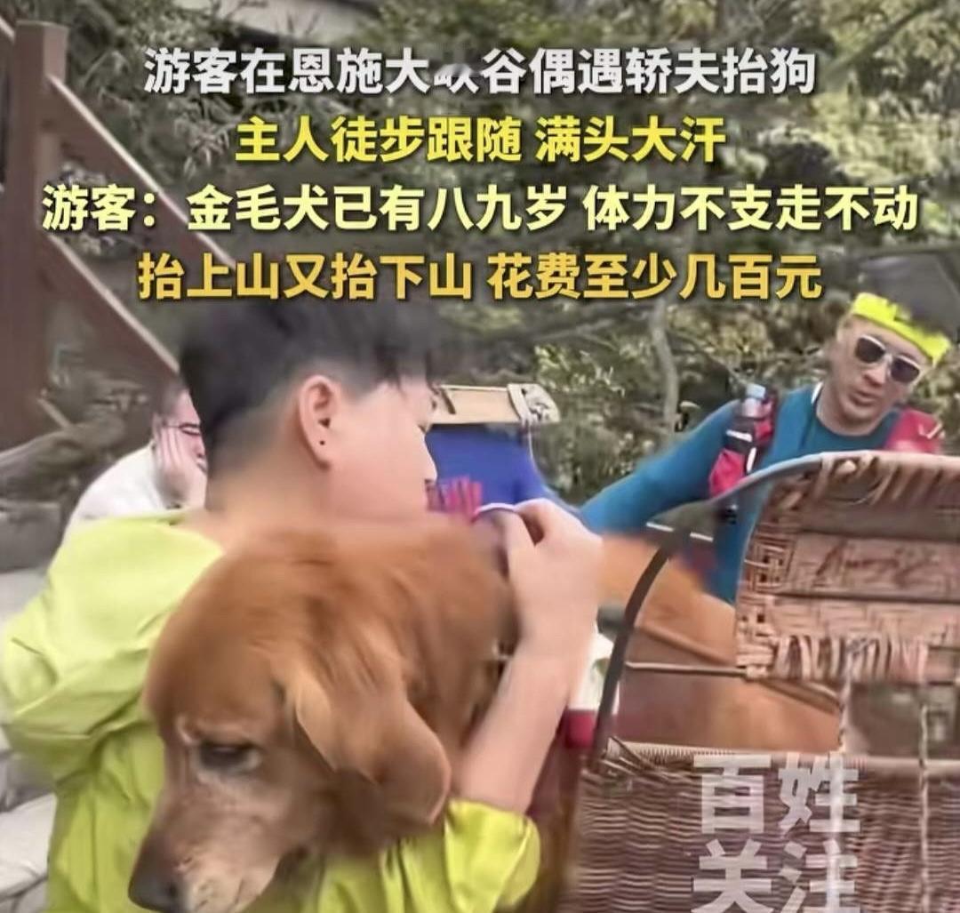 五一假期的峡谷步道上，两名轿夫抬着滑竿平稳前行，竹椅里坐着的，不是走不动的老人，