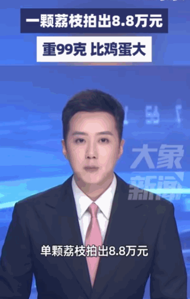 “误闯天家！”据媒体5月23日报道，海口，一颗重量99克，比普通鸡蛋还要大上一圈