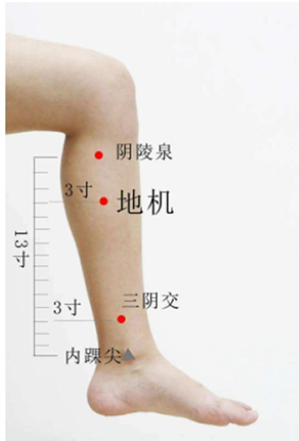地机穴——痛经专用穴！止痛快、调月经，妇科急症要穴大家好，我是中医陈医生！