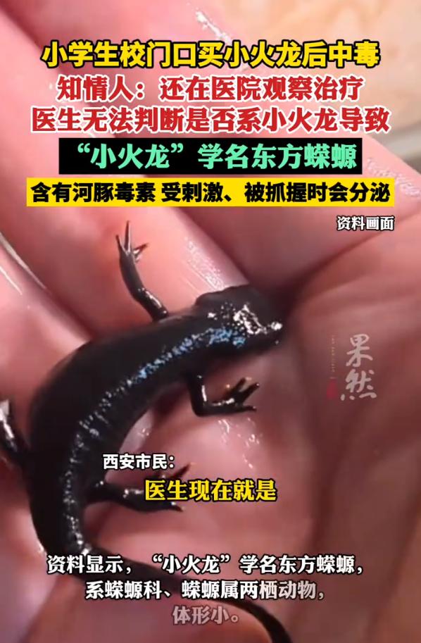 担心的事情还是发生了！陕西西安，一名小学生放学时在校门口发现有人摆摊卖“小火龙”