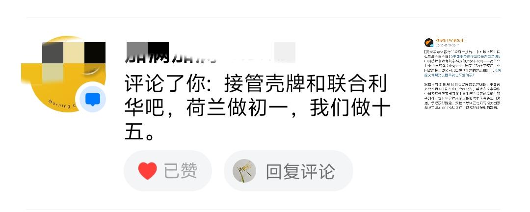 有网友说：接管壳牌和联合利华吧，荷兰做初一，我们做十五！这是他对荷兰“劫掠”中企