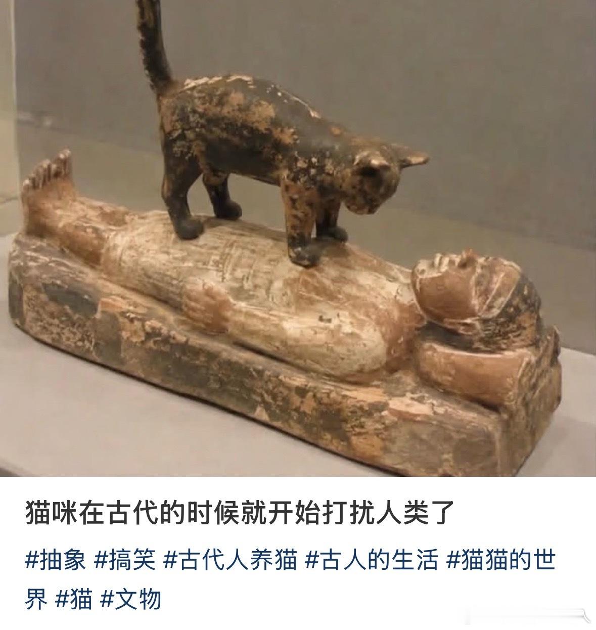 猫的小脚踩身上来就跟用铁筷子捅肚子一样…谁懂​​​