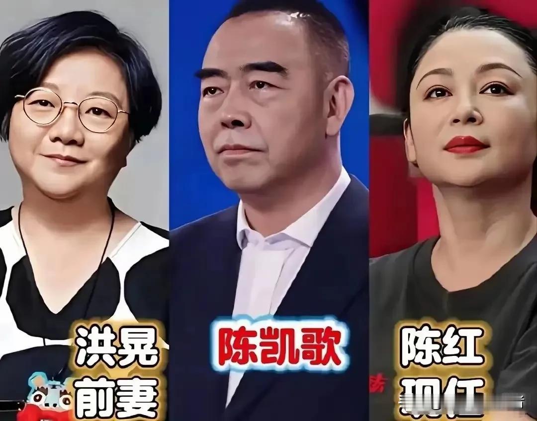 名利浮沉间，婚姻的现实写照。翻看一众明星大腕的情感过往，前妻与现任的鲜明对比，