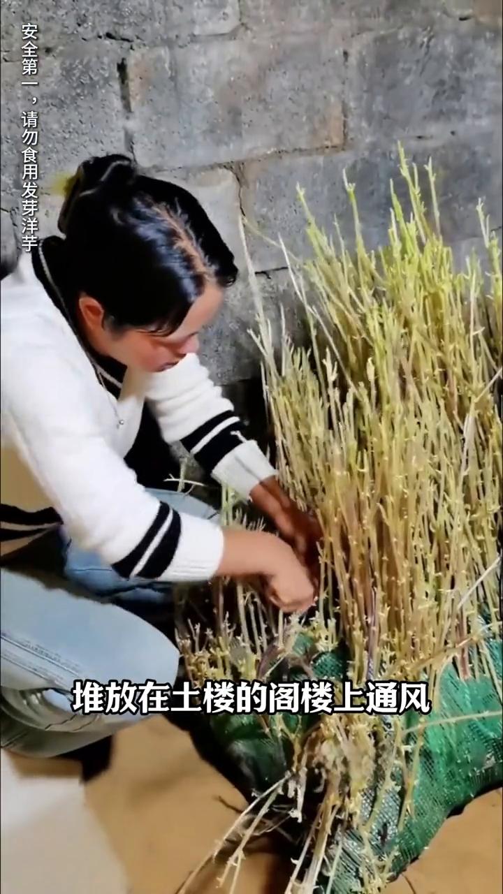 云南人在吃的方面就从来没输过，没毒的生吃，微毒的烫着吃，有毒的油炸吃，就连这个让