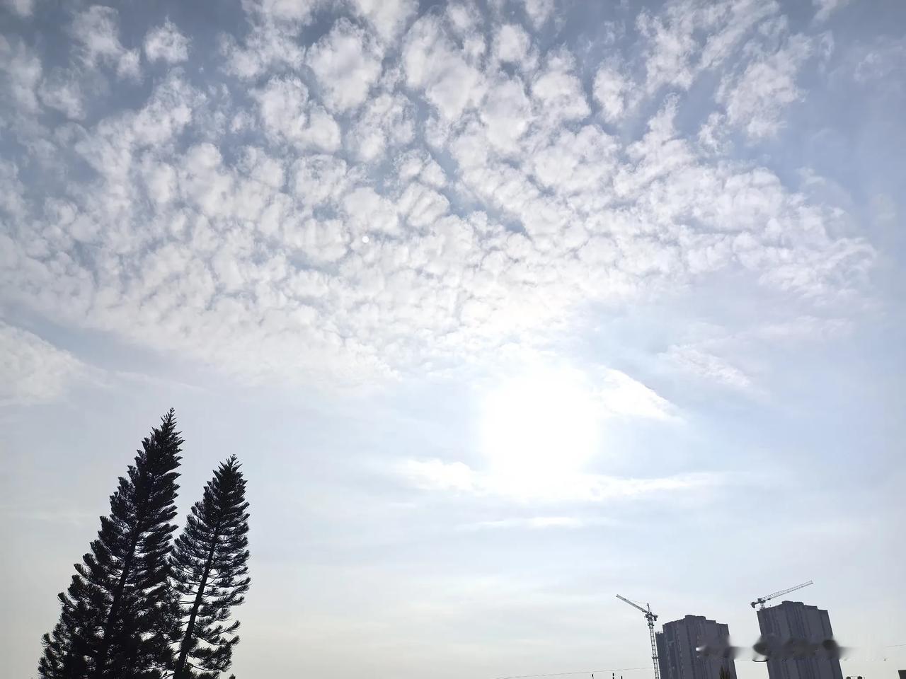 晴燥霸屏！广东晴朗干燥天气模式持续开启！未来几天（12～14日），广东大部维