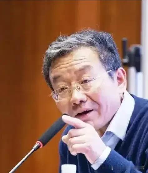 复旦大学教授王德峰，用一段直白犀利的发言，戳穿了当下社会看似繁荣的表层假象，道出