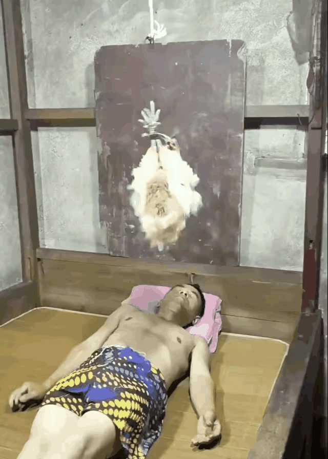 不是，你这不怕鸡屎吗[捂脸哭]