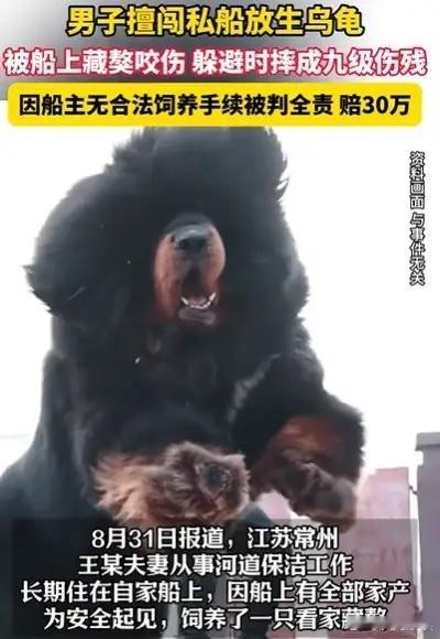 “不作死就不会死！”江苏常州，王某夫妻从事河道保洁工作，长期住在自家船上，因船上
