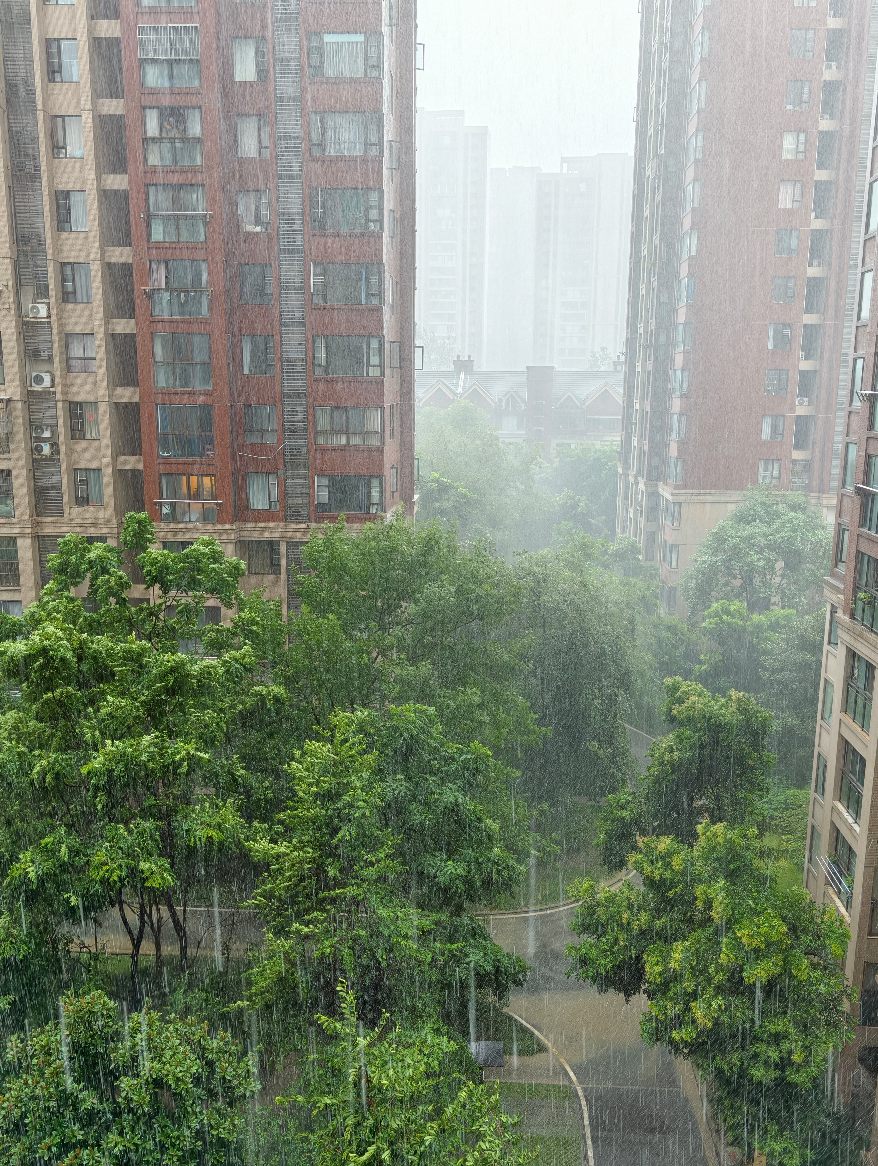 今天成都的雨好大，大得就像…