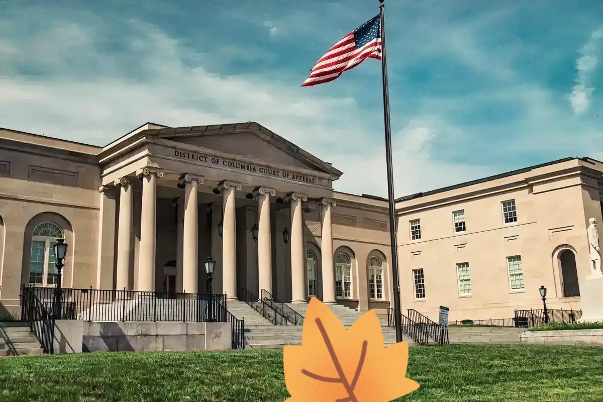 这美国的一波操作，我是真没看懂。美国国务院宣布！今年以来，美国国务院累