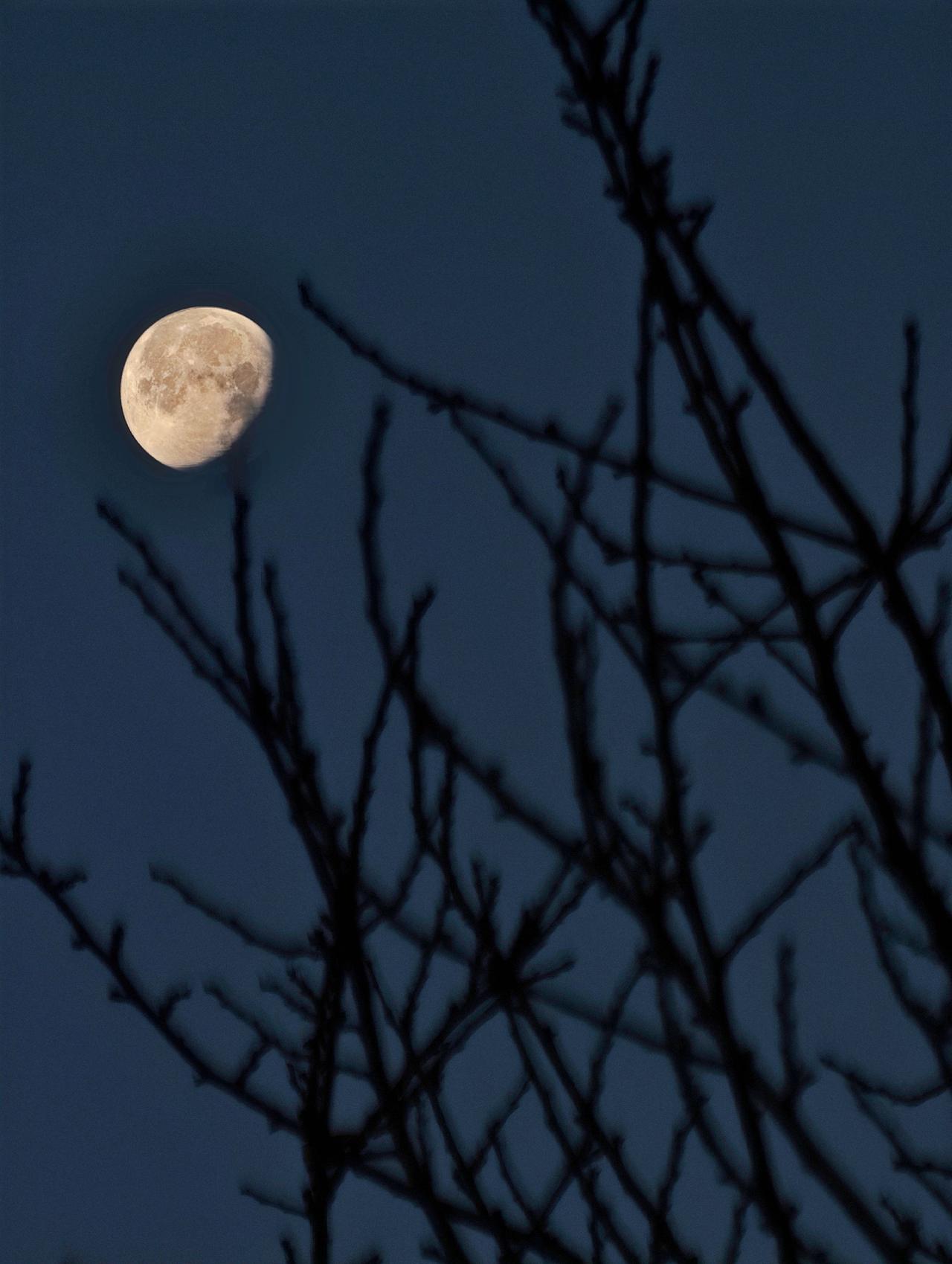 我用摄影看世界月亮