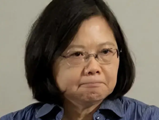 蔡英文启动窜访欧洲行程，首站丹麦叫嚷：不会向大陆低头！蔡英文于12日启程开启