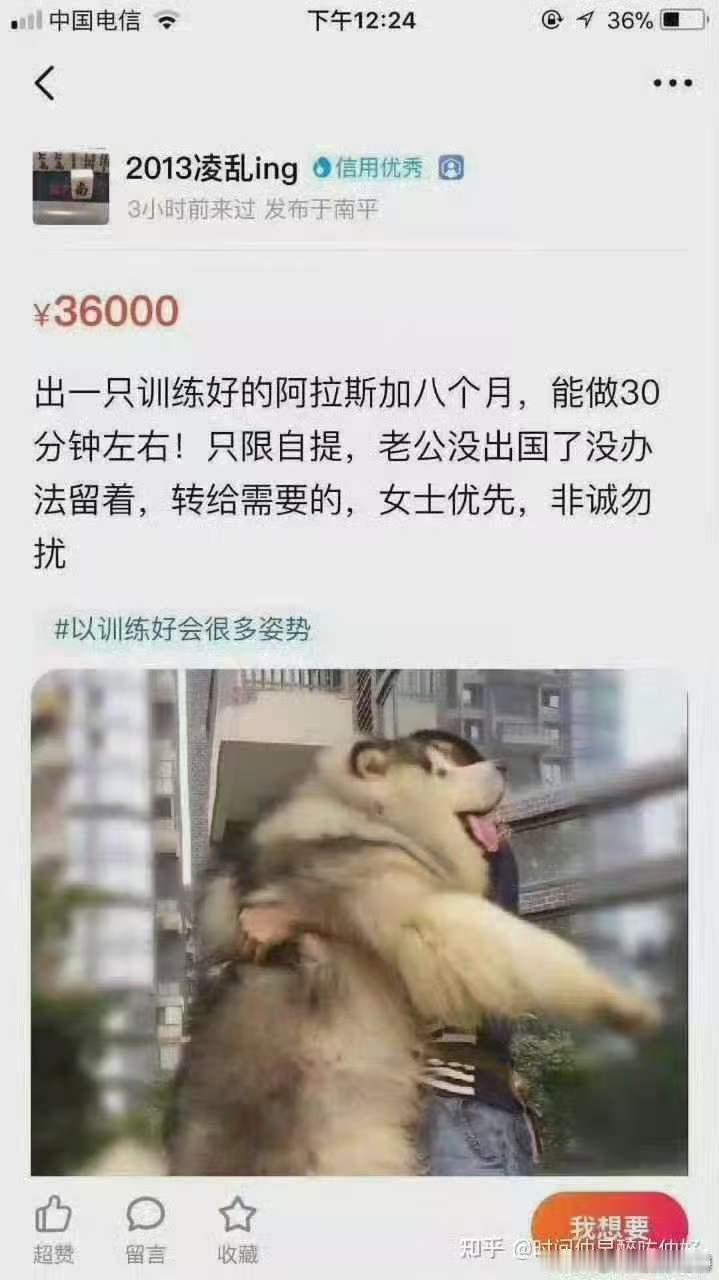 有谁懂？？？反正我是不懂！原来这就是女生爱养大型犬的原因？