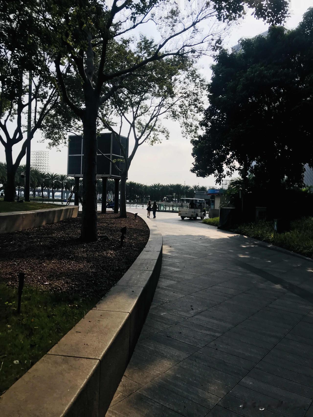 我现在很痛恨自己的性格与选择，总是一个稳字当头，把日子过得不紧不慢，不咸不淡。难