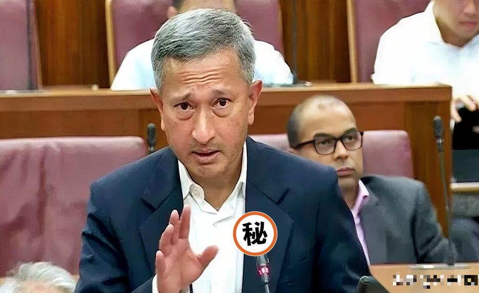 新加坡急了。在东盟的会上，外长几乎是拍着桌子，让中国“尊重”马六甲的地位。翻