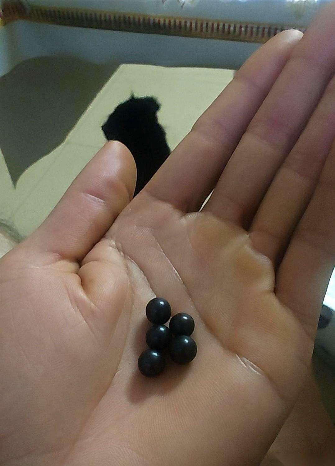 凌晨一到三点准时醒。你以为是焦虑，是压力大，是白天咖啡喝多了？不，有没有可能