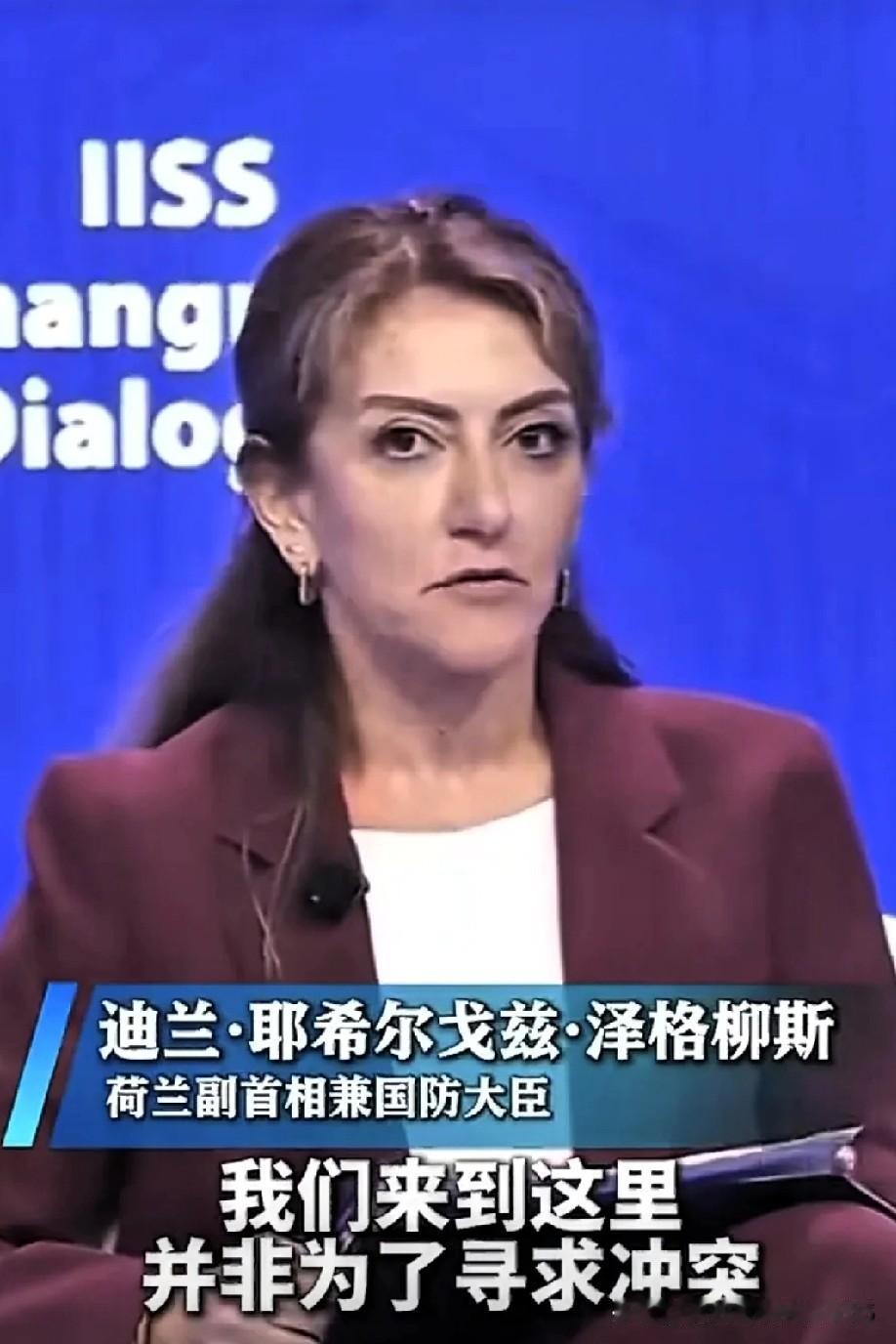 香会现场，刘万侠大校那句质问，听得人真解气。荷兰副首相被当众“点名”，那副闪