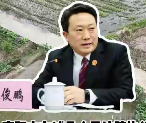 荣誉未凉便落马！南阳方城法官麻俊鹏被查，11年庭长路终踏错深渊2026年5月1