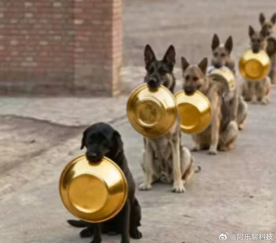 重仓黄金的人怎么样了金价从高点一路跌下来的时候，我账户里的钱也跟着缩水了一大截。