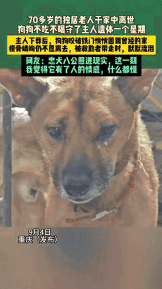 彻底解释不清了！重庆，一位独居老人家中去世，出现了令人不可思议的一幕，老人生前喂