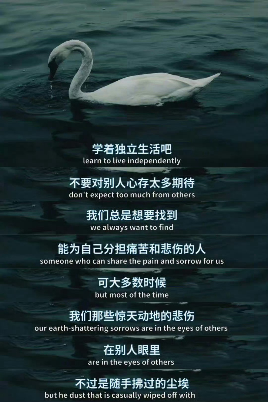 允许一切发生，然后做个勇敢的人