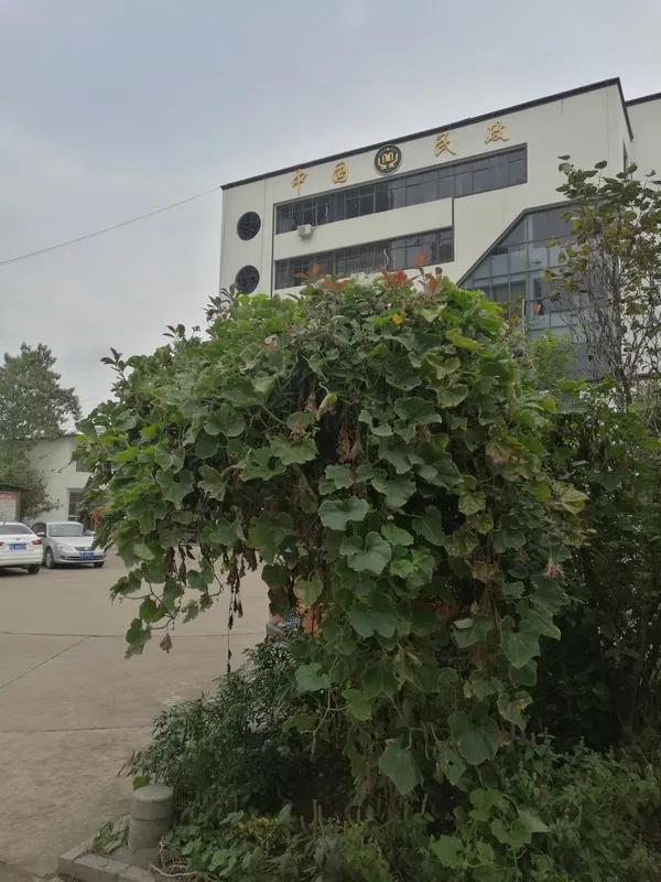 我们村是明洪武年间吕姓人和周姓先后来定居的，发展到现在吕姓人有一千五六百口人、