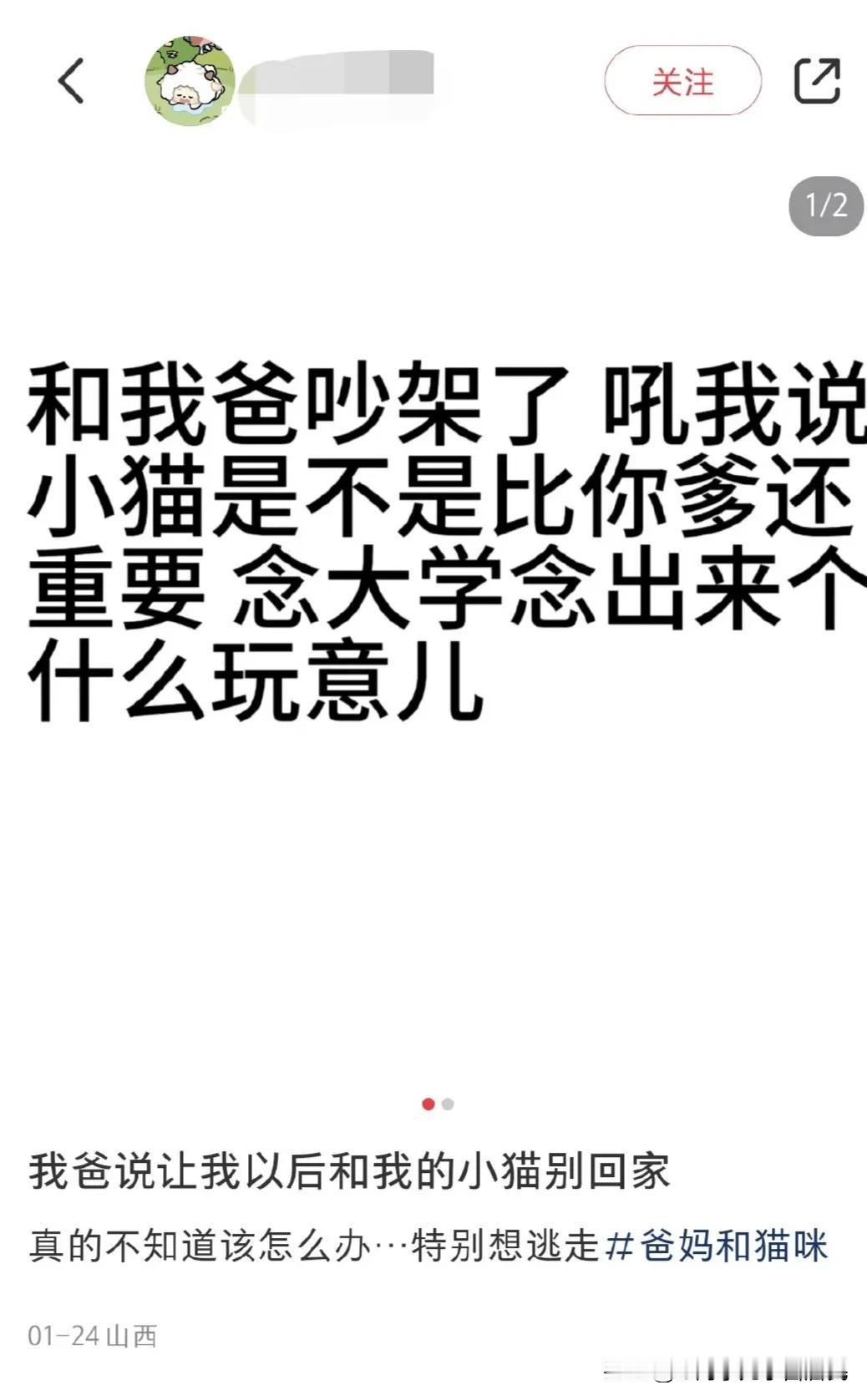 一个女生比较烦恼，因为她爸妈看到她养的小猫在客厅玩就比较心烦。因为她爸说弄得