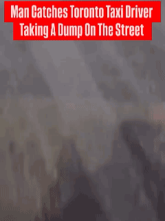 在加拿大多伦多，一名印度裔出租车司机在街头如厕时被邻居当场质问，双方随即发生言语