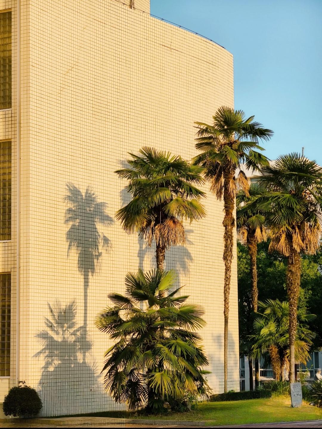 大学真正厉害的人，从不只拼绩点1️⃣不拼绩点，是拼“吸力”！人家能把老师、