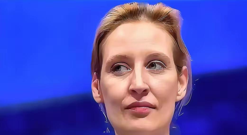 魏德尔在达沃斯把欧洲脸皮撕破达沃斯论坛，特朗普面对27位欧洲领导人，开口72分