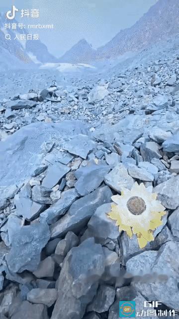 “上人民日报了！”新疆，男子去爬天山，爬到海拔3000米左右时，抬头一看，突然发