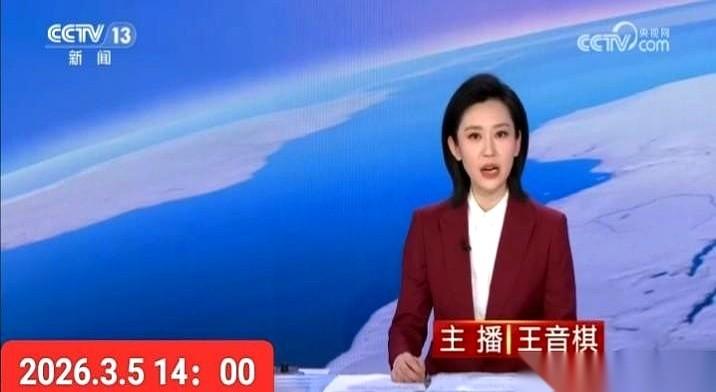 新闻直播间的王音棋，一声不吭，15天，整整15天没露面。每天掐着点打开电视，都