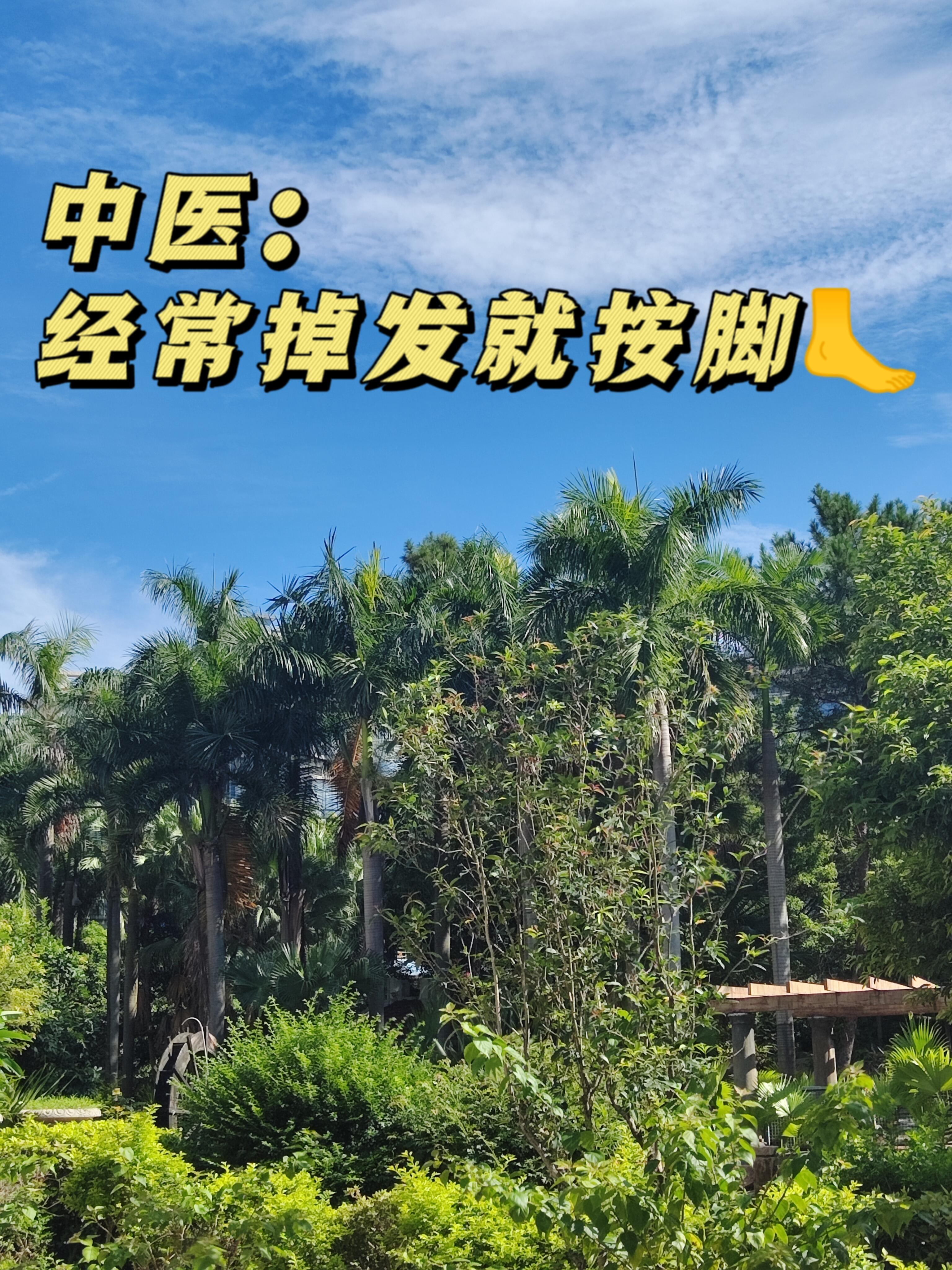 经常掉发就按脚，教你按出头包脸家人们谁懂啊！每次洗完头扒拉卫生间地漏，那一圈缠得
