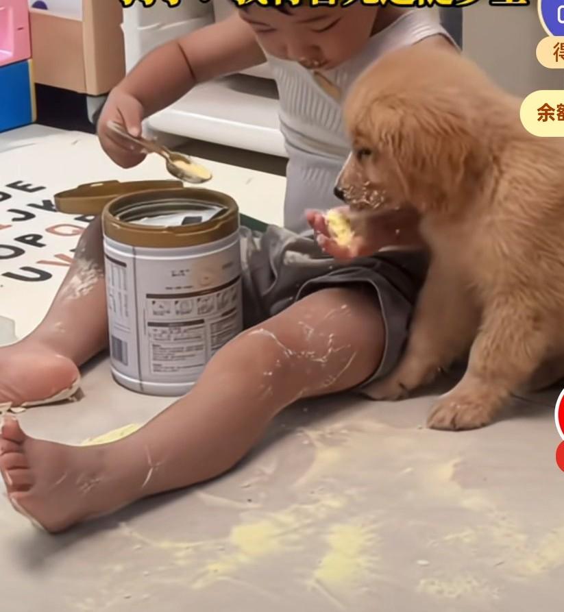 小孩哥用奶粉喂狗狗，并且狗粮管够把狗粮堆在了狗狗的身上，还在狗粮上倒奶粉，结