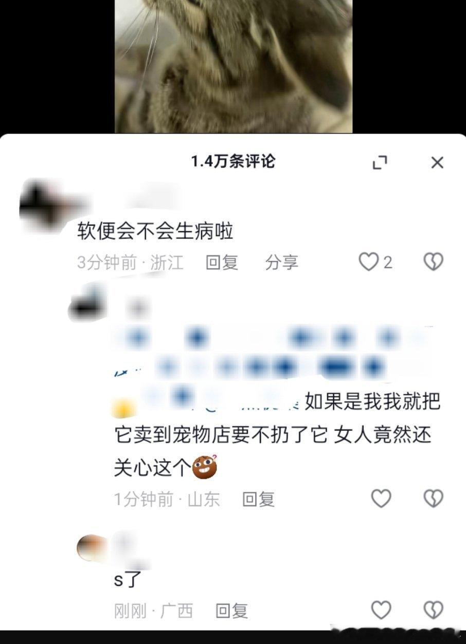【原视频是一只猫拉在床上】评论区是不是显得自己很果断很有威风那等不到老了你