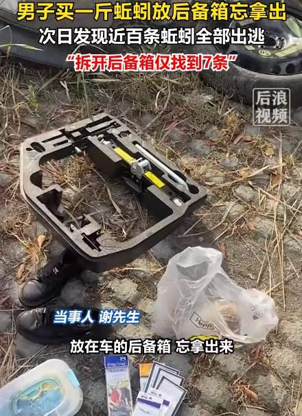 这画面我光想想就头皮发麻。江苏徐州一男子买1斤蚯蚓忘在后备箱，近百条一夜全出逃，