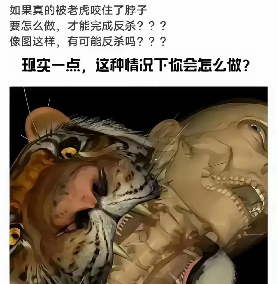 被老虎咬住脖子，只用考虑吃什么席了。