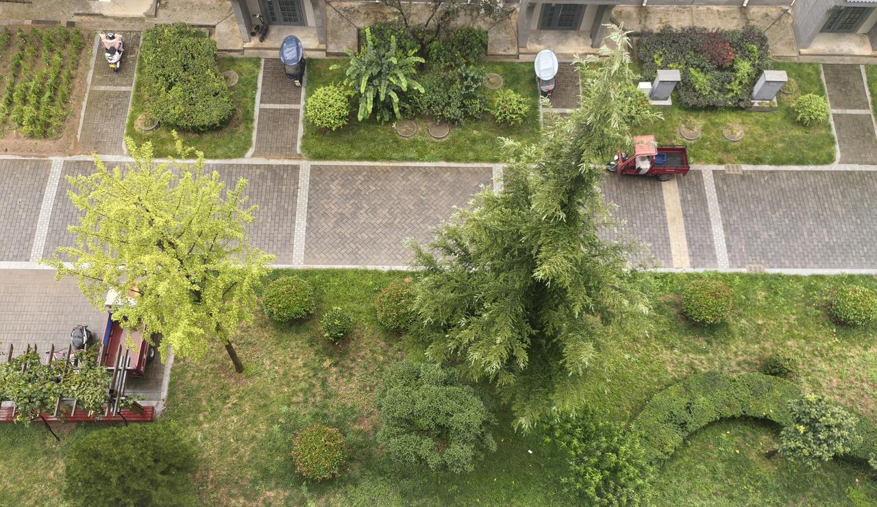 陕西的雨终于下了，而且淅淅沥沥地下了大半天。看着雨点密密地落下来，地湿了，庄稼精