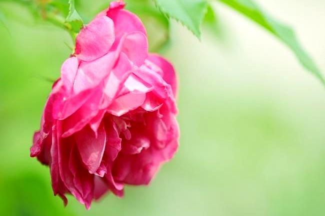 麻将桌上一直赢钱的人，从不天天打牌。你是不是觉得，打得越多练得越多，技术才