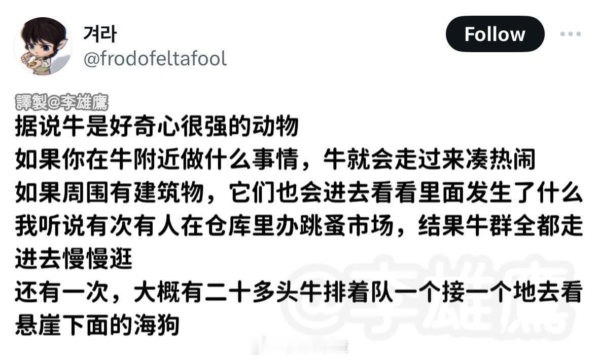 好奇心很强的小动物​​​