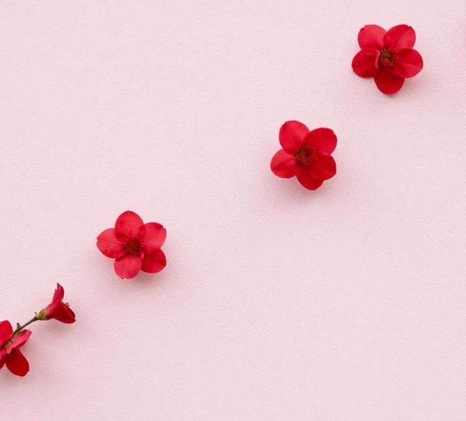 跟你们说一个实话，现在真的不要，再去交什么朋友了，老朋友也尽量少联系，除