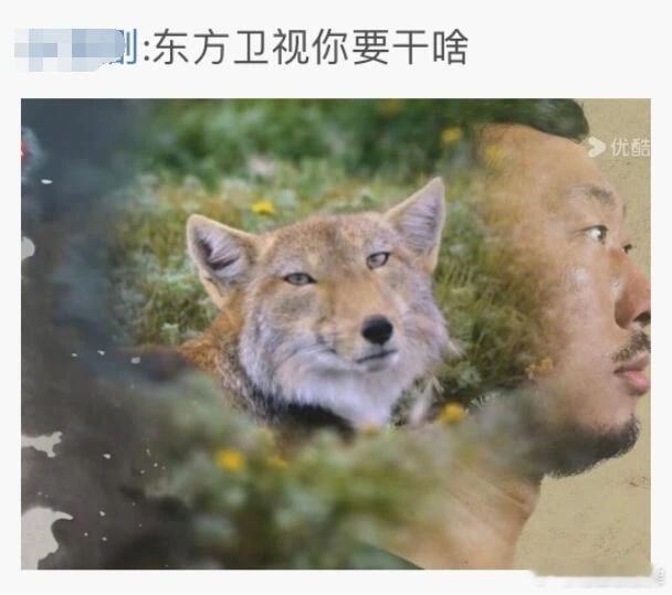 又是梗图[doge]