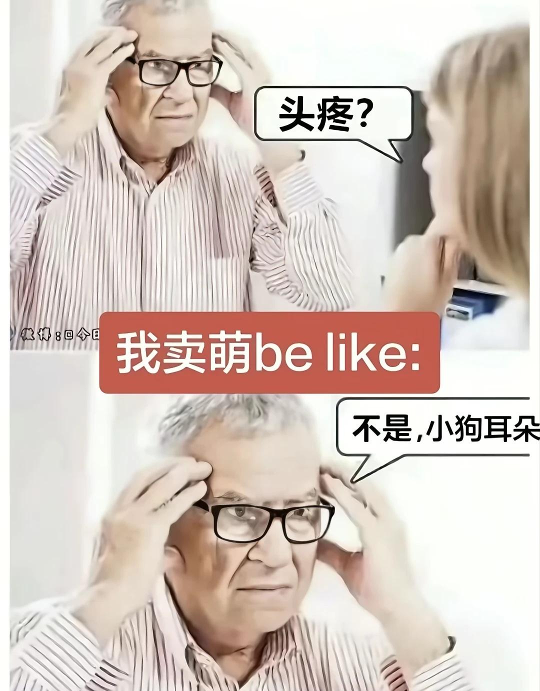 是小狗(.❛ᴗ❛.)搞笑梗图拍照姿势