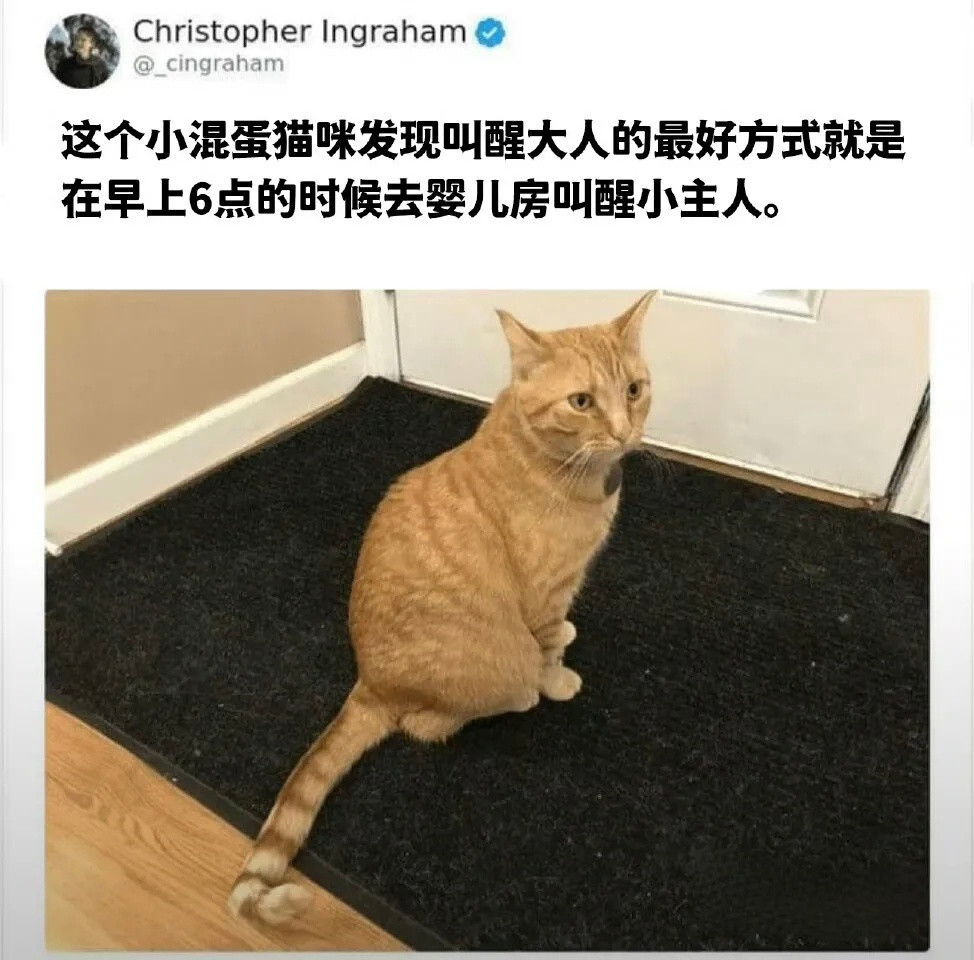 挟天子以令诸侯猫meme​​​