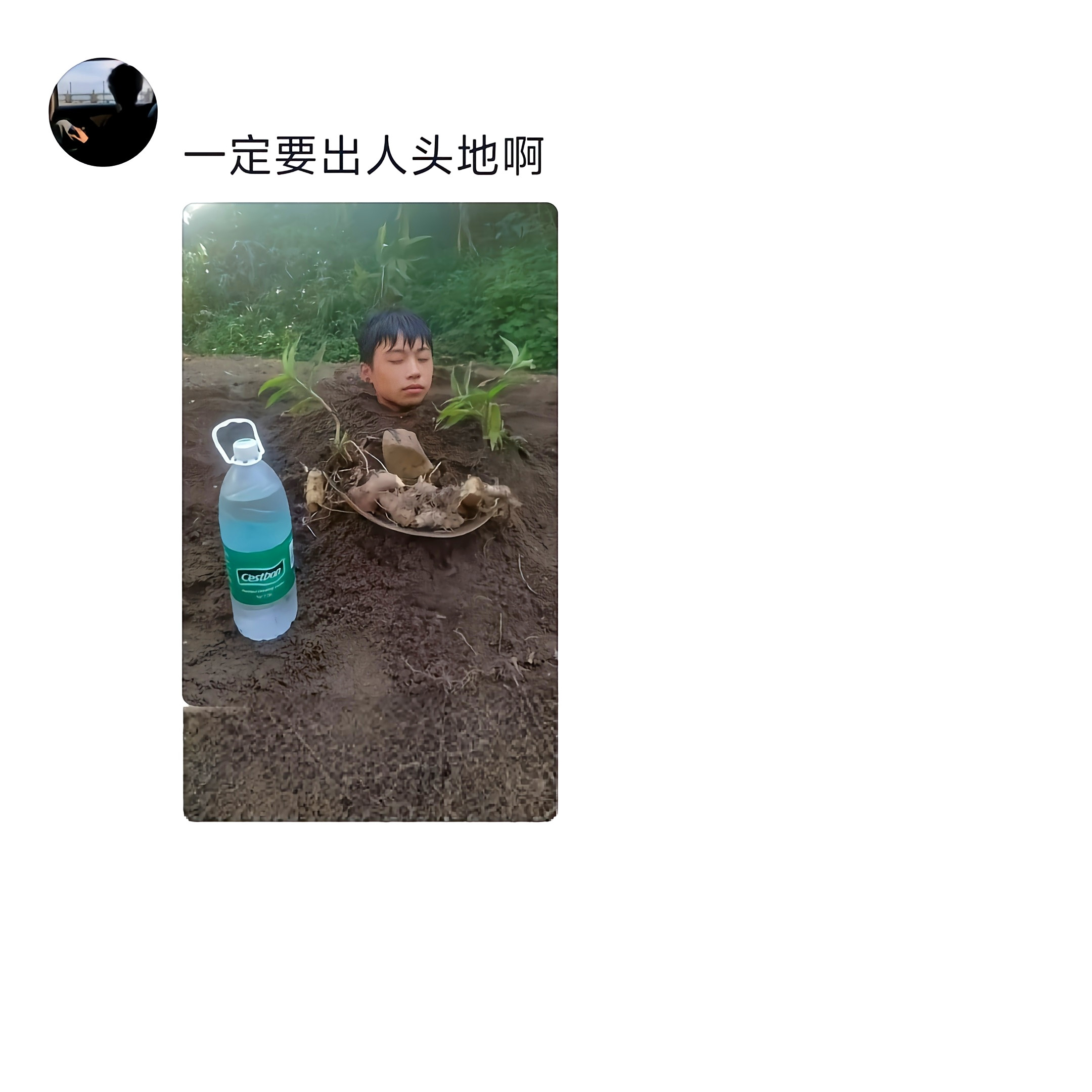 一定要出人头地吗?