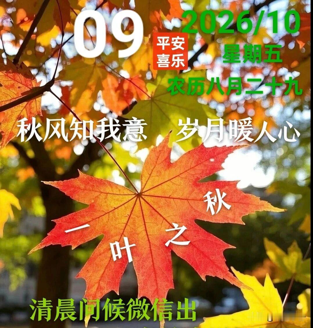 🍂²⁰²⁶/₁₀.₀₉ᵕ̈🌞早安｜秋日柔光☕️🍒🍑🐎秋风漫过窗