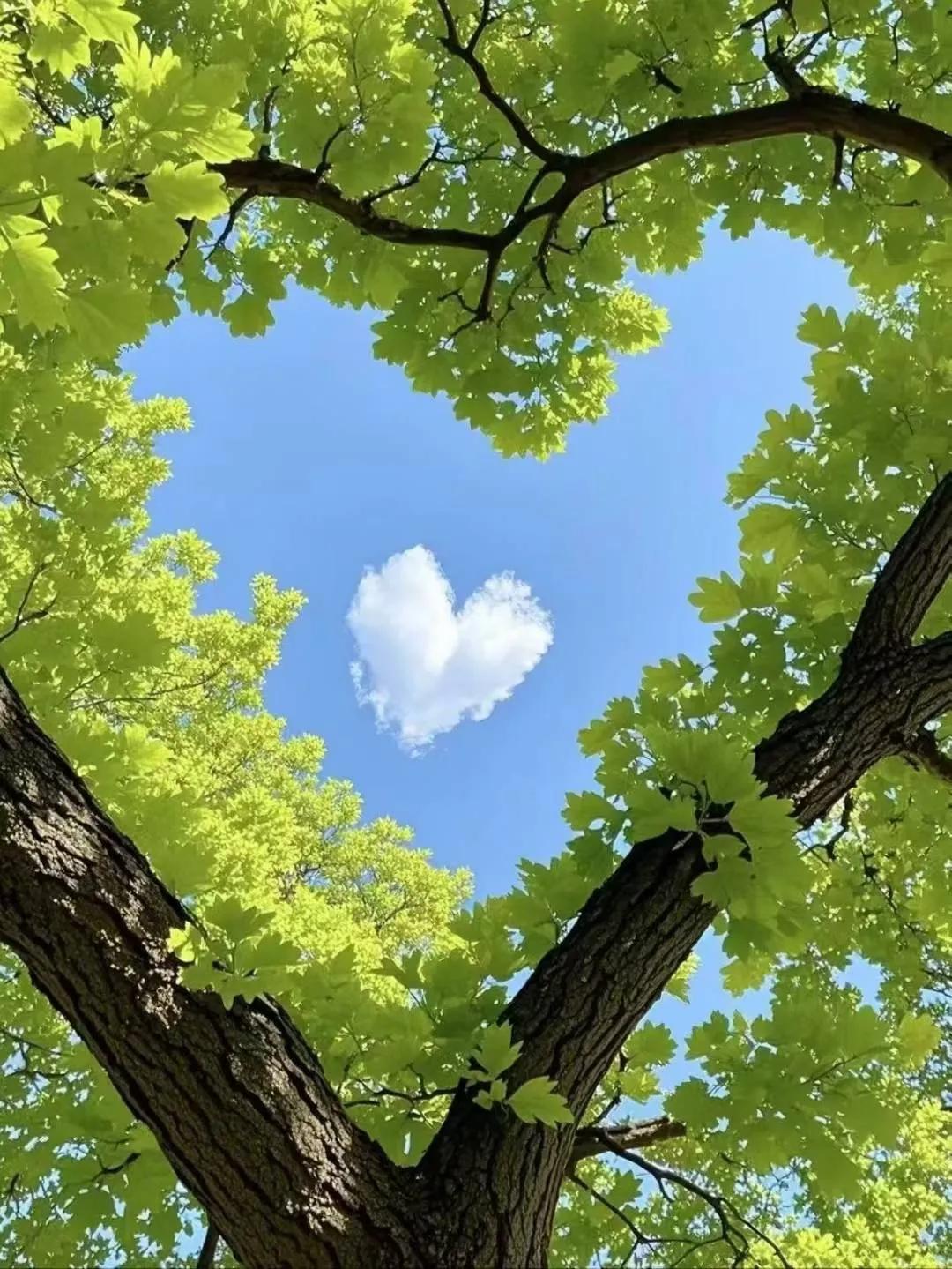 活得最舒服的人，你满足几条？1、夫妻都在县城的体制内工作2、无房贷和车贷3
