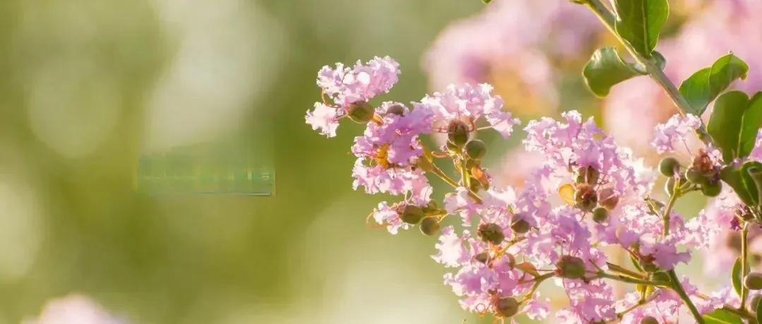 同事的女儿在杭州工作，今年29岁了。最近谈了个男朋友，家是甘肃的，同事内心是不同