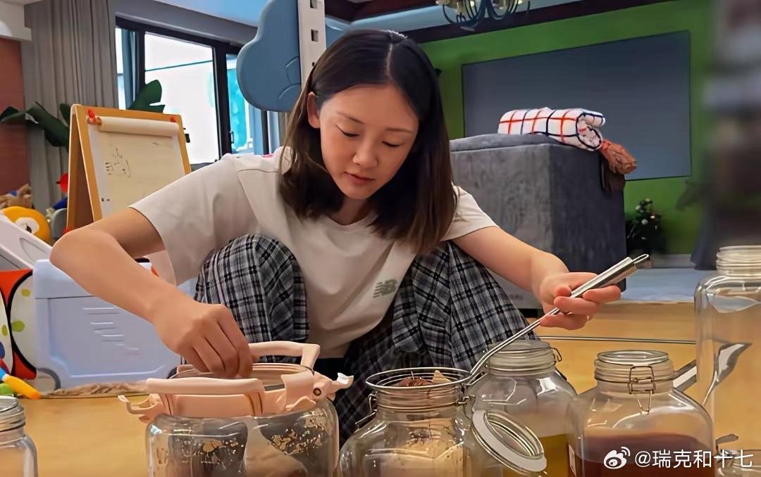 苗苗真是一个居家的好妈妈好媳妇，郑恺赚钱养家，她则带领孩子们一起种菜原来苗苗一直