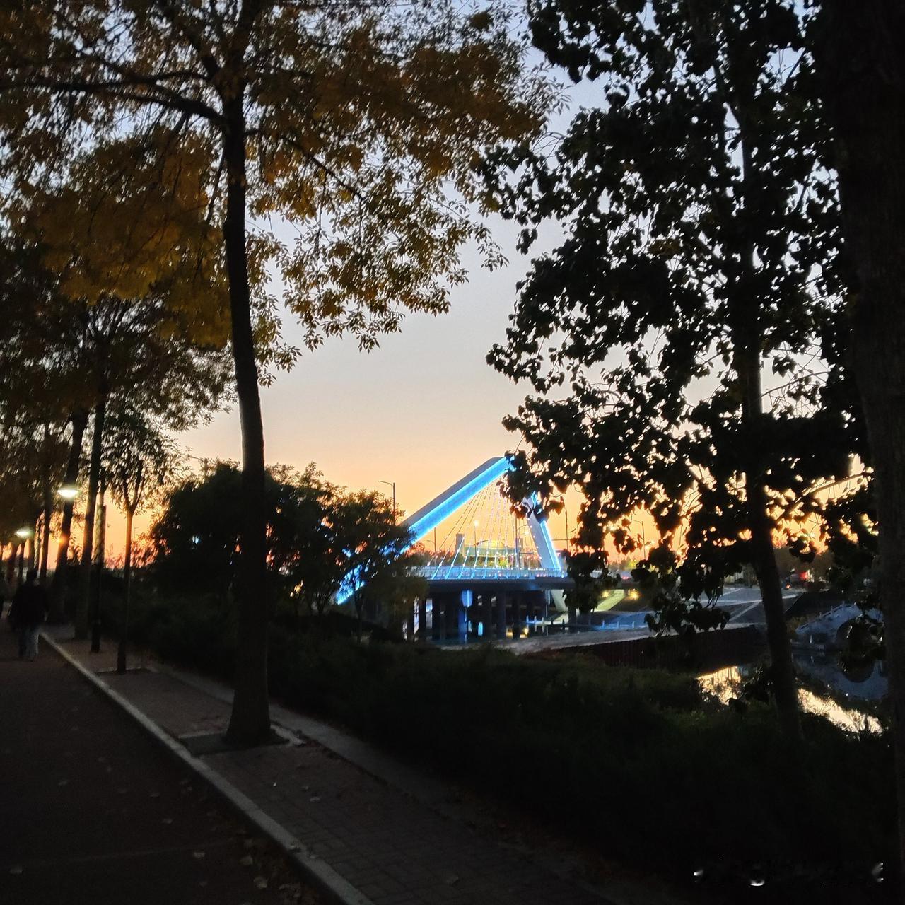 9点没到，10岁的儿子就钻被窝熄灯，1小时后，我顺着门缝往里一看，发现儿子的被子